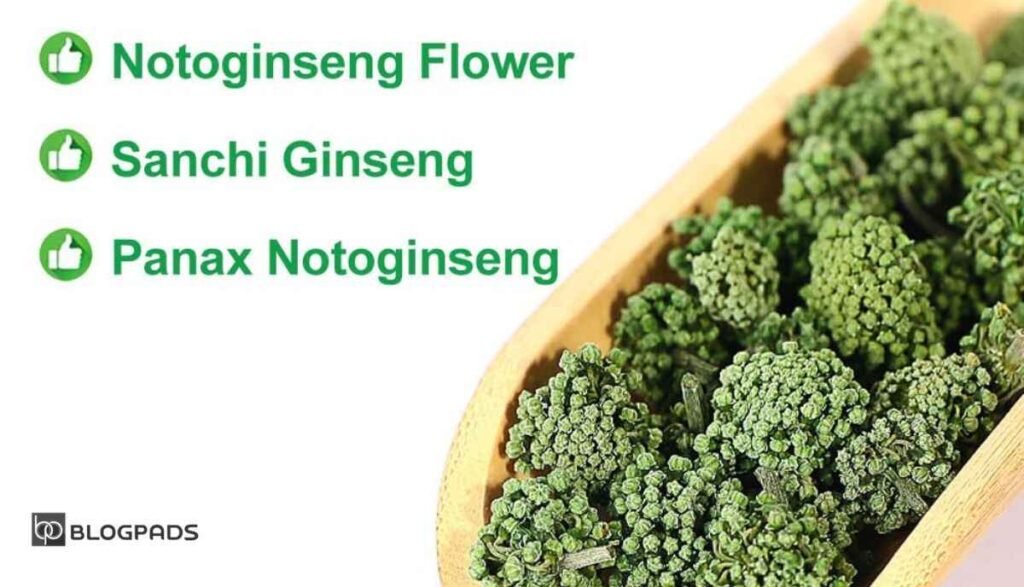 Panax notoginseng benefits