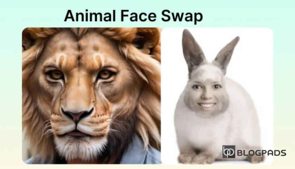 Animal Face Swap – Discover the Fun of It and How to Make One of Your Own