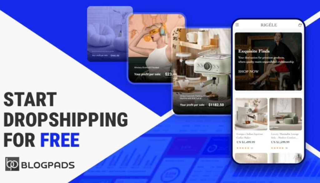 How to Launch a Dropshipping Store with Zero Investment